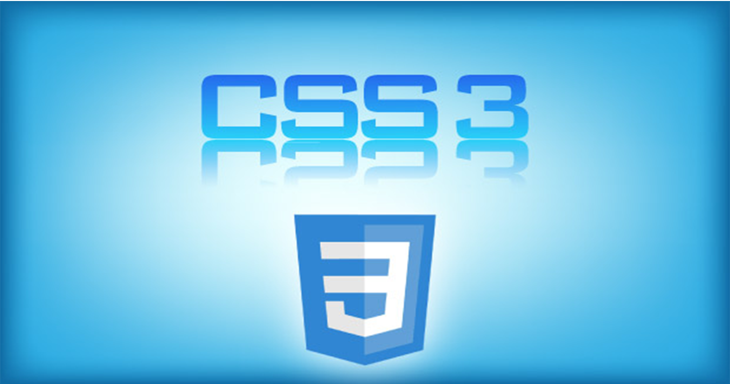 Css3 logo 1