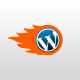 Mejorar la velocidad de carga en WordPress
